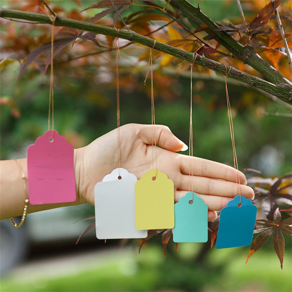 Keep Your Garden Organized with 100 Reusable Waterproof Plant Labels