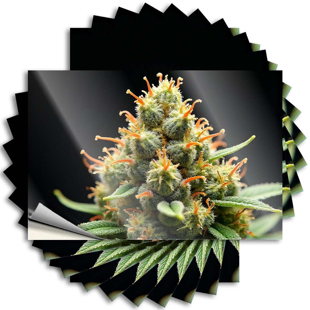 Cottage Tattoos Helmet | A Close-up of A Cannabis Plant with Orange Pistils. Badass Humor Sticker Pack(6X9CM)