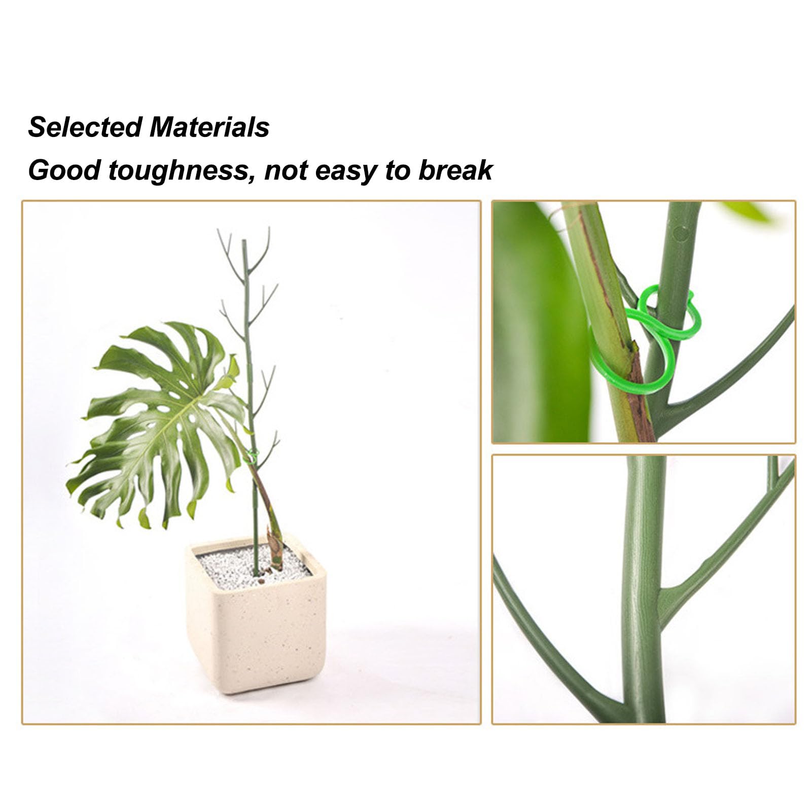 Tige En Hêtre 150 Cm – Pour Tuteurs De Plantes Ou Manche D’Outils (Bois FSC, Diamètre 28 Mm)