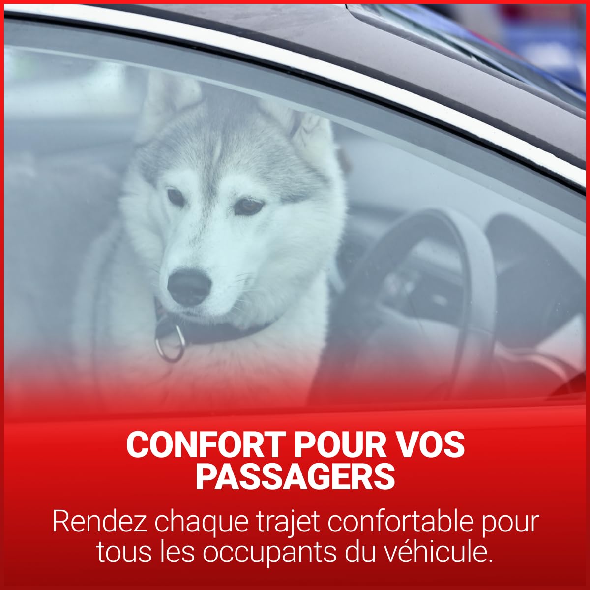 AlpAC 5-en-1 Recharge Climatisation Voiture R134a – Gaz Substitut avec Lubrifiant Compresseur, Anti-Fuite et Traceur UV – Kit Complet Entretien Clim Auto – Solution Économique DIY