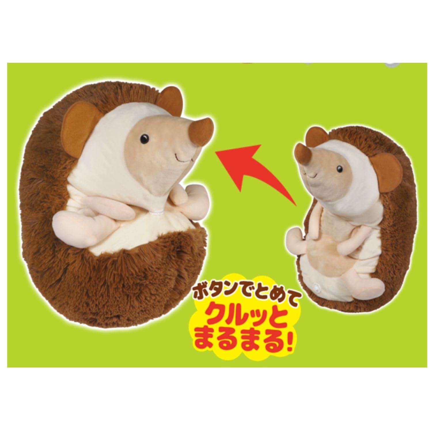 Amazon.co.jp: HAC(ハック) クルッとまるまるハリネズミちゃん 50cm