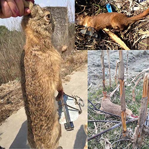 Medium Small Professional Animal Trap For Rabbit, Skunk, Mink, And Squirrel Cats Raccoons Sall Bobcats Foxes Etc (4In) #TOP6