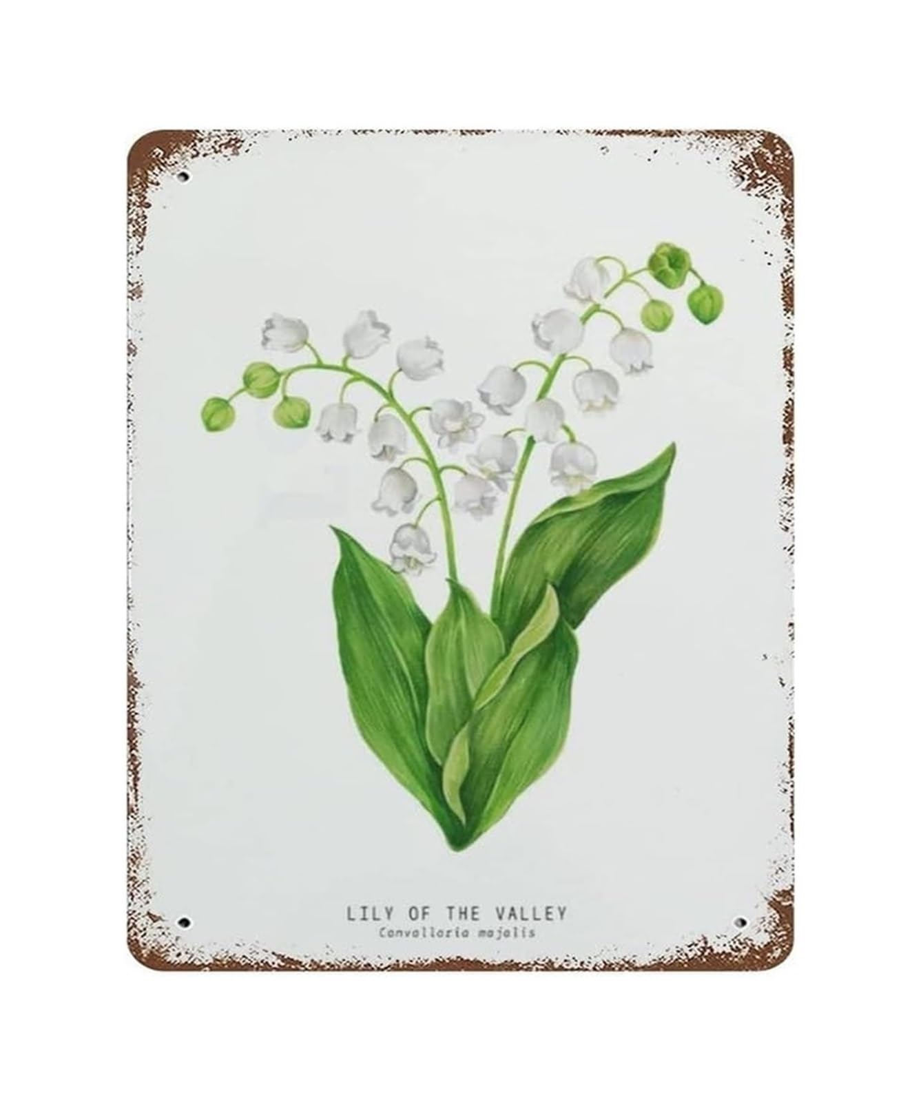 PKNVKZIDK Botanical Lily of the Valley Sign Vintage Metal Wall-Art Floral Cottage Decor for Kitchen Breakfast Nook Porch Sunroom Country Home 8 X 12 inch