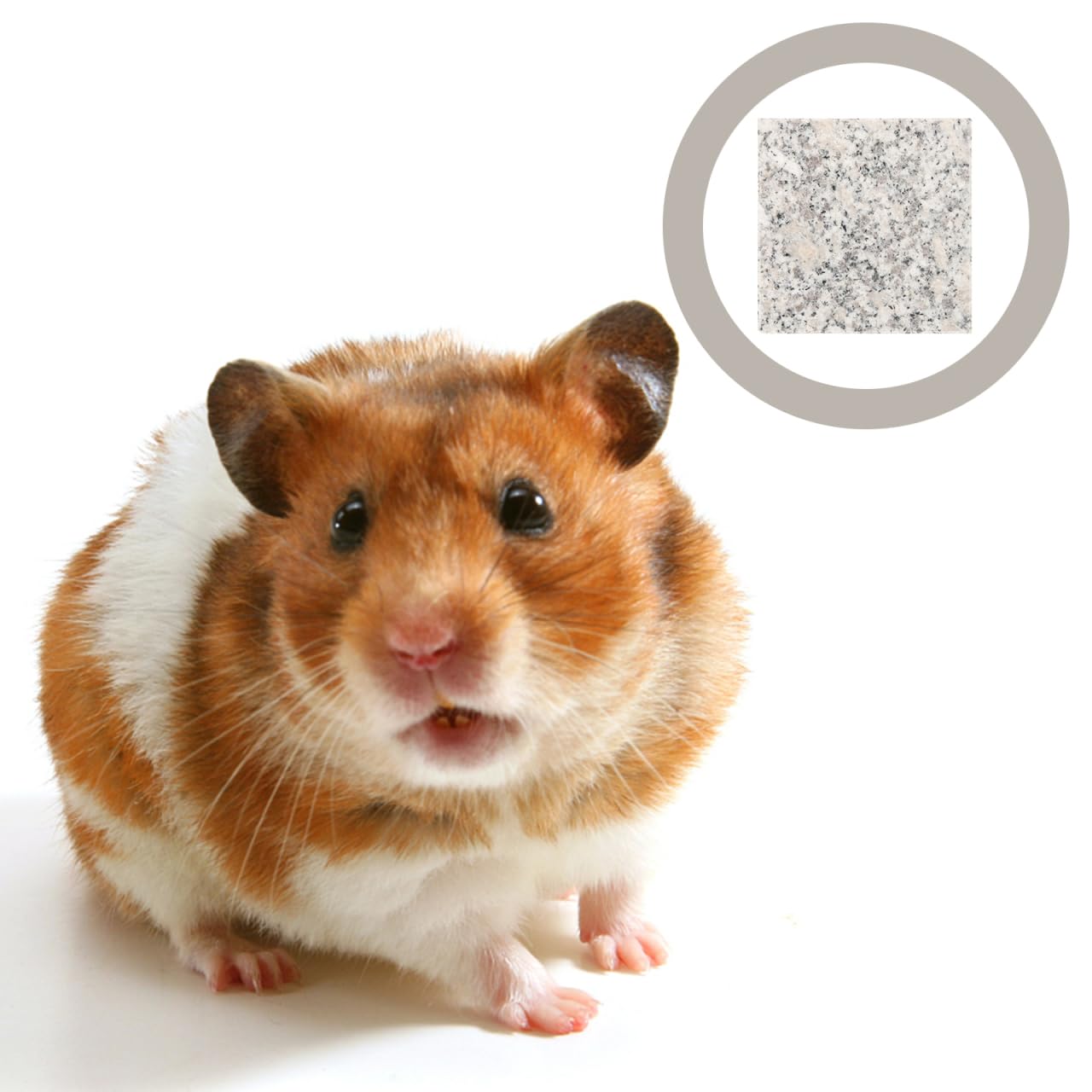YARNOW 2 Stück Marmorplatte Kühlbrett Für Kleintiere Hamster Meerschweinchen Sommer Haustier Kühlung Tierbedarf Tragbare Kühlmatte 3.54X3.54X0.67In