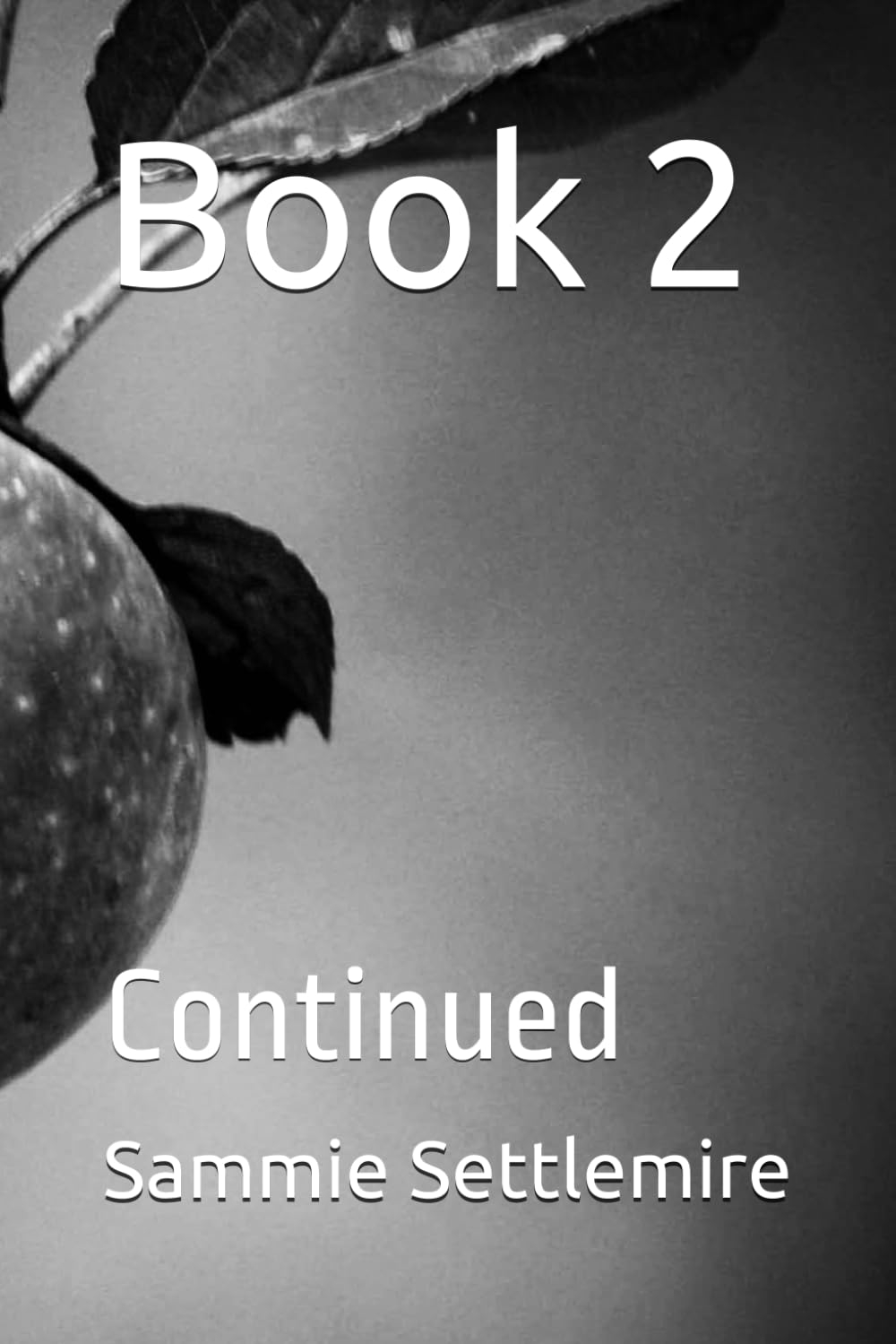 Book 2: Continued