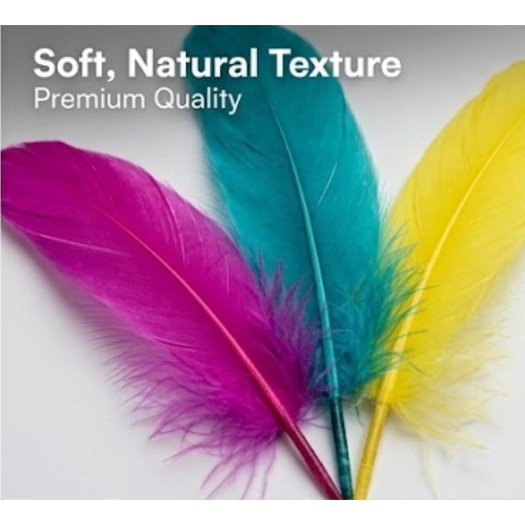 Colourful Craft Feathers, Multicolour, Soft Natural Texture, Premium Quality, for DIY Arts and Crafts by Kawaii Store 1
