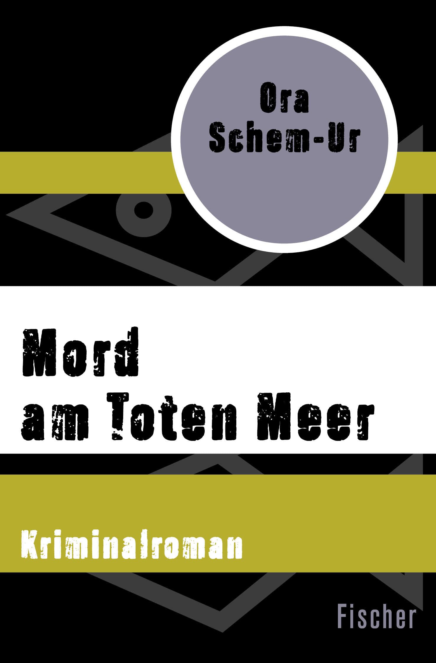 Mord am Toten Meer: Kriminalroman