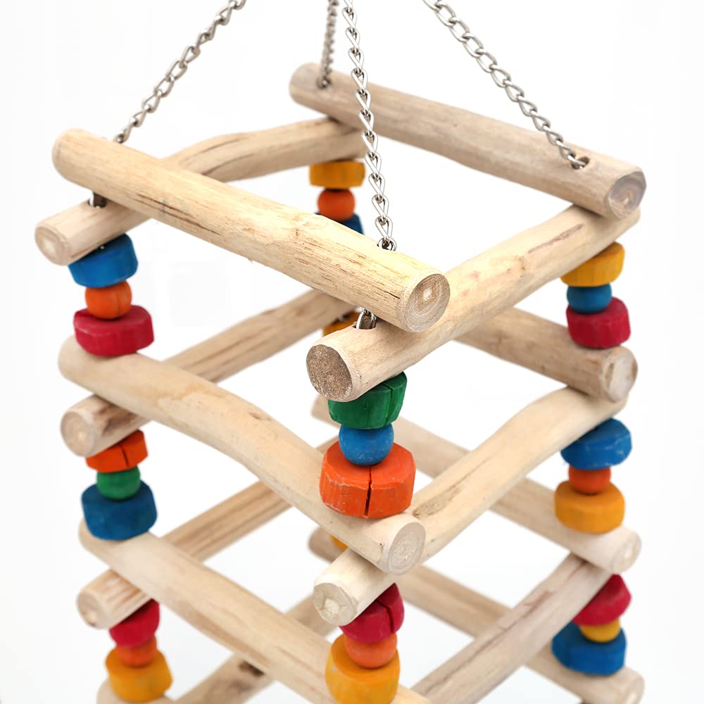 Amazon.co.jp: 大型インコ＆オウム用 コーヒーの木のカラフル止まり木