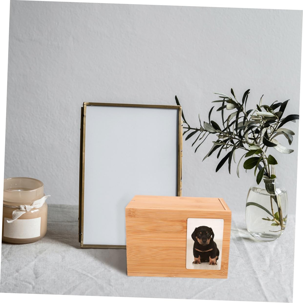 Pet Urns for Dogs Ashes Memorial Cremation Urn Small Portable Corrosion Resistant Dog and Cat Ashes Keepsake for Home Bedroom Study Fireplace