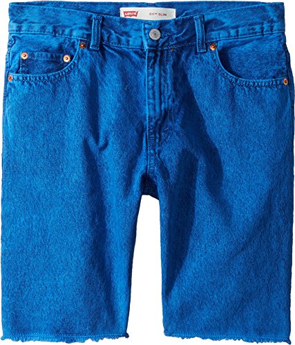 Image of Levi's Boys' Slim Fit Denim Shorts