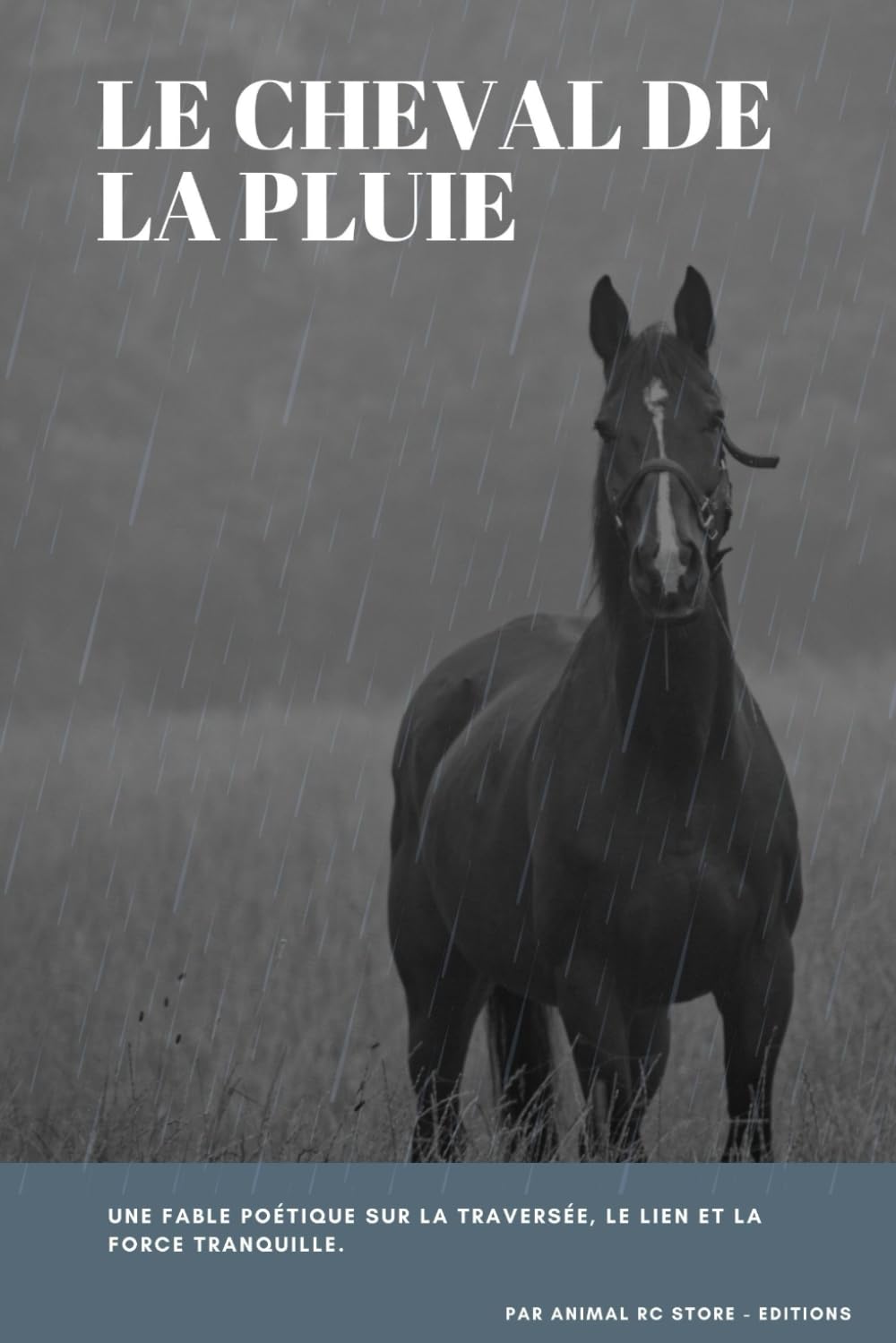 Le Cheval de la Pluie: Une fable poétique sur la traversée, le lien et la force tranquille