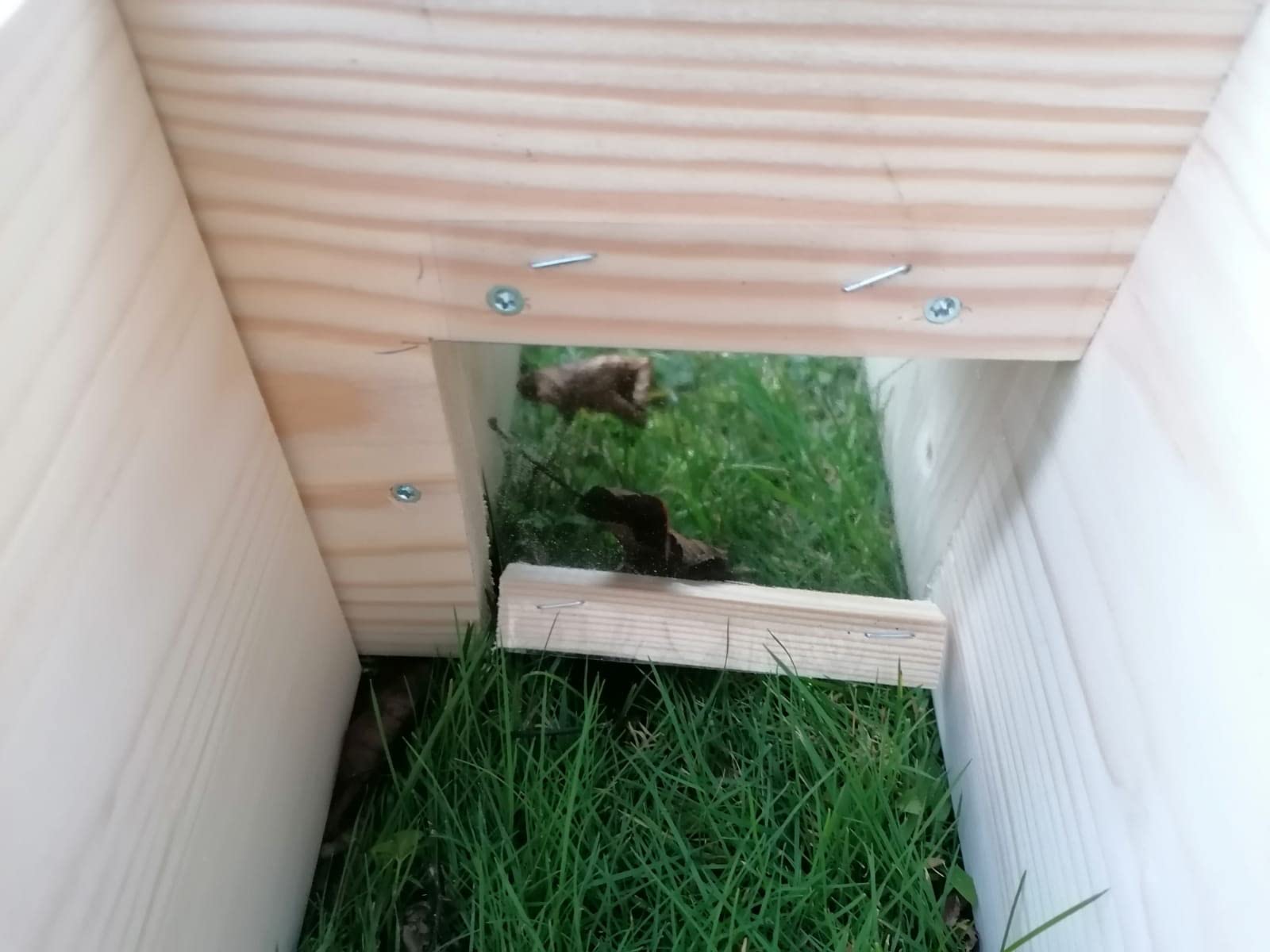 Casetta per ricci per ricci (IG7) bruciata con ingresso labirinto e patta in rattan e apertura per tetto rimovibile per una facile pulizia