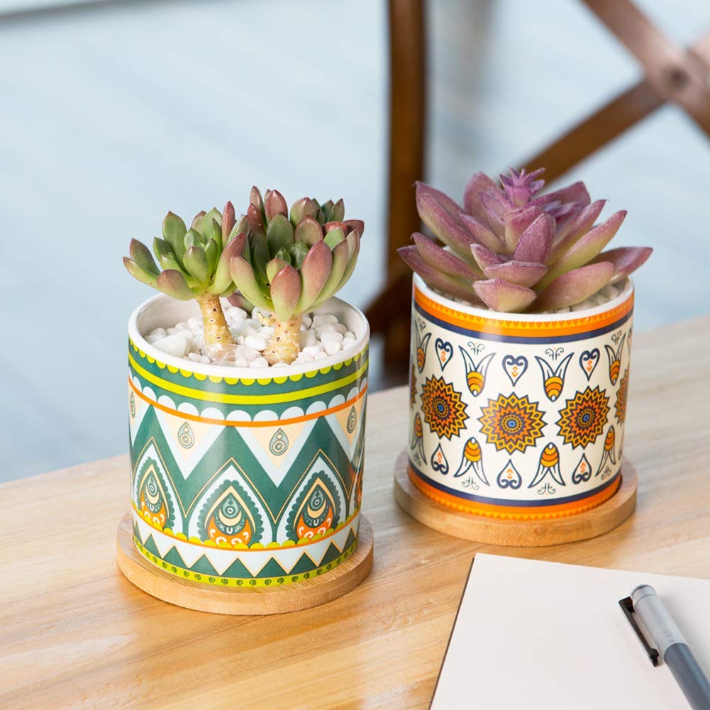 COLOAPT Succulent Plant Pots - 3.1 inch Ceramic Succulent Planter -Cylinder Flower Pots for Cactus with Drainage Hole and Bamboo Tray, 6 Pack (Multicolor1)