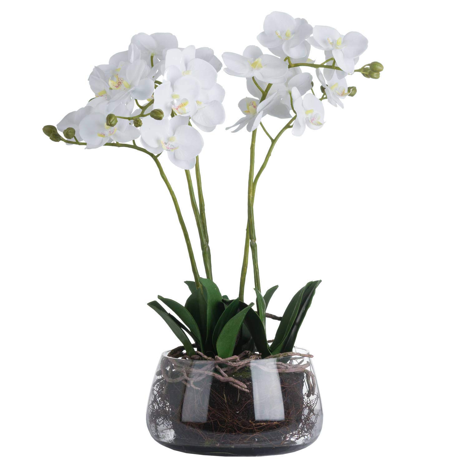 Love Lace White Orchid Artificial Flower - Realistic Faux Plant in Glass Pot - Home Decor