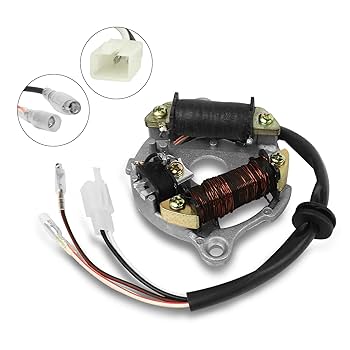 Amazon.com: FLYPIG Magneto Ignition Stator Assembly for