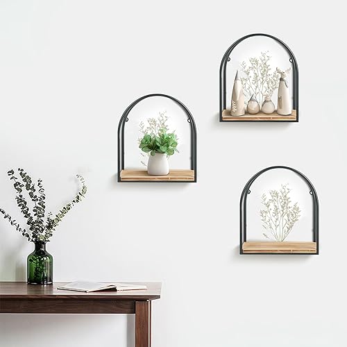 Miniatura 2 de Estantes flotantes montados en la pared, marco de metal negro con decoraciones creativas de especímenes de plantas, estante para especias, estante