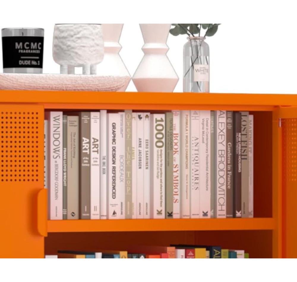 Amazon.com: XIUSVON Orange Metal Storage Cabinet,2 Door TV Stand