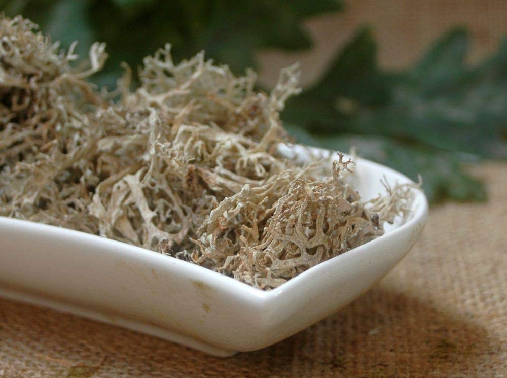Krauterino24 - Musgo de roble cortado, cantidad: 500 g