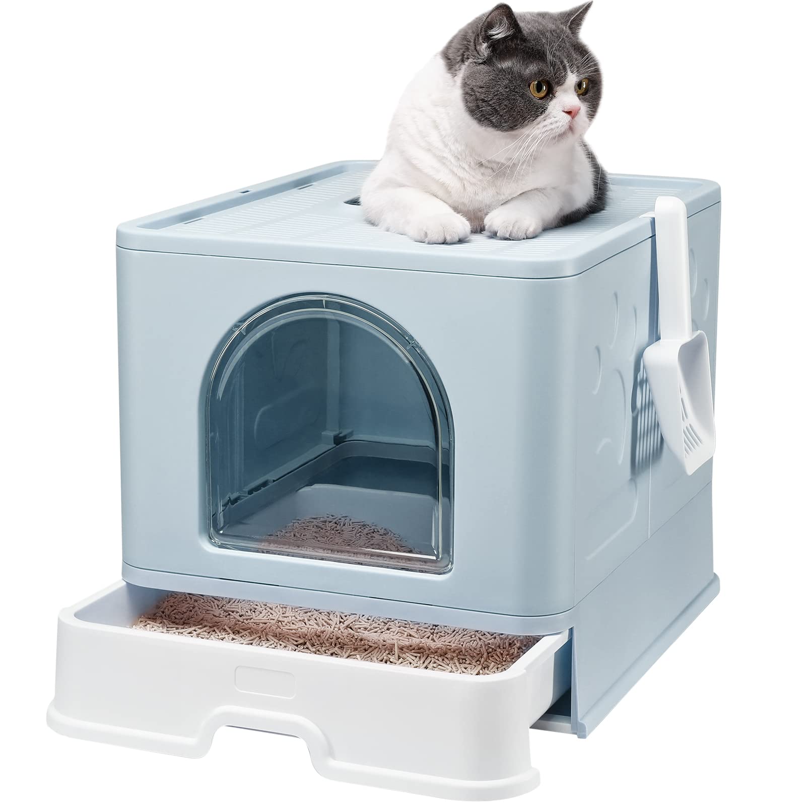 Buy Foldable Cat Litter Box with Lid Large Kitty Litter Box Top Entry