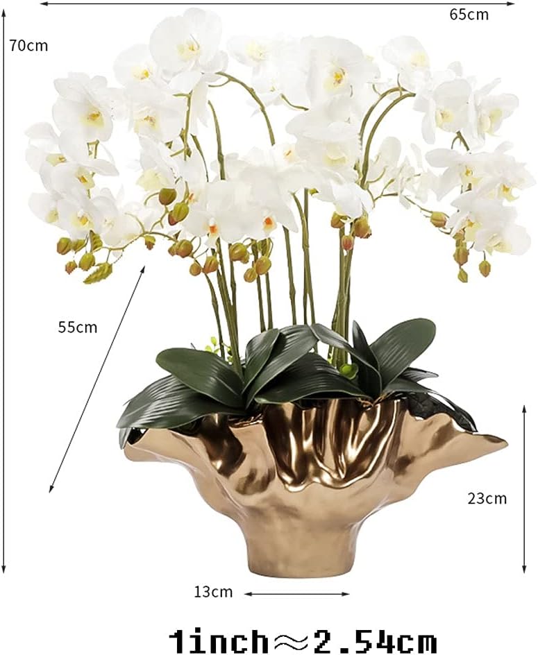 ファレノプシス Phalaenopsis cornu-cervi ファレノプシス コルヌセルビ 🔋 赤い模様の