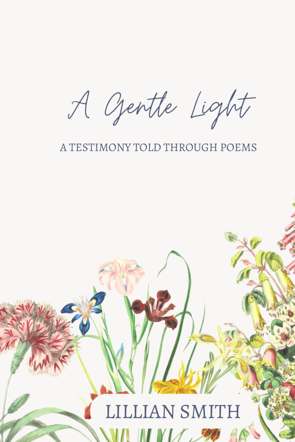 A Gentle Light: A testimony told through poems
