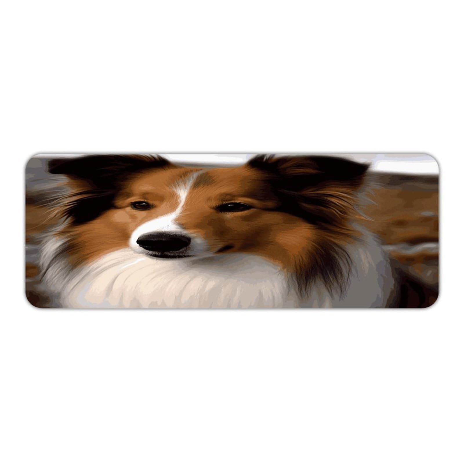 Alfombra de cocina antideslizante Shetland Sheepdog, tapete suave y lavable de 45x120 cm