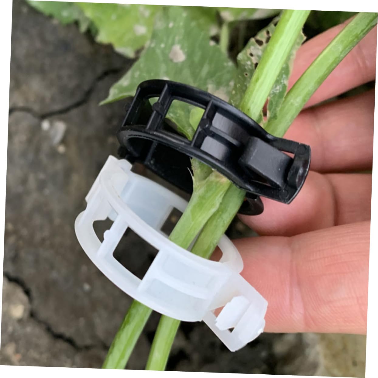 ibasenice 500stücke Pflanzenstützclips Für Tomaten Verstellbare Gartenclips Stabilisierung Von Pflanzenstängeln Wetterfeste Kunststoffklammern Für Gesunde Pflanzenwachstum