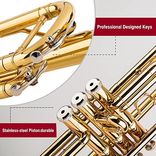 glory bb trumpet - trumpets for beginner or advanced student with case pair of gloves-gold