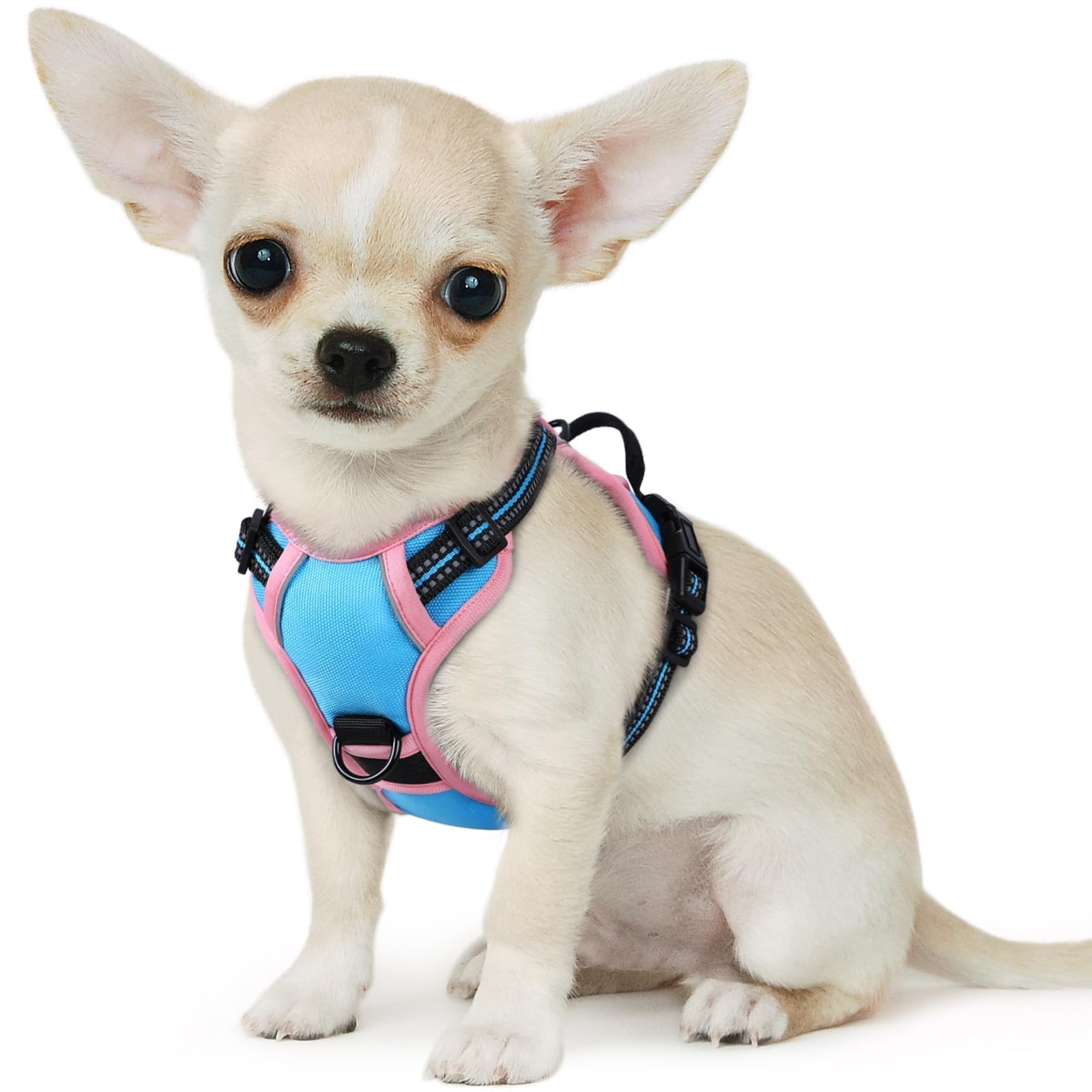 Eagloo Dog Harness for Small Dogs, No Pull Pet Vest with 2 Leash Clips