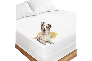 Zippered Queen Mattress Protector - The Ultimate Bed Protection Solution