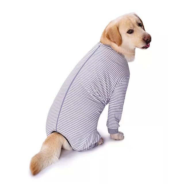 Foto 7 de 7 de Pijama de una Pieza para Perros Grandes y medianos para la pérdida de Cabello, alergias, antifugas