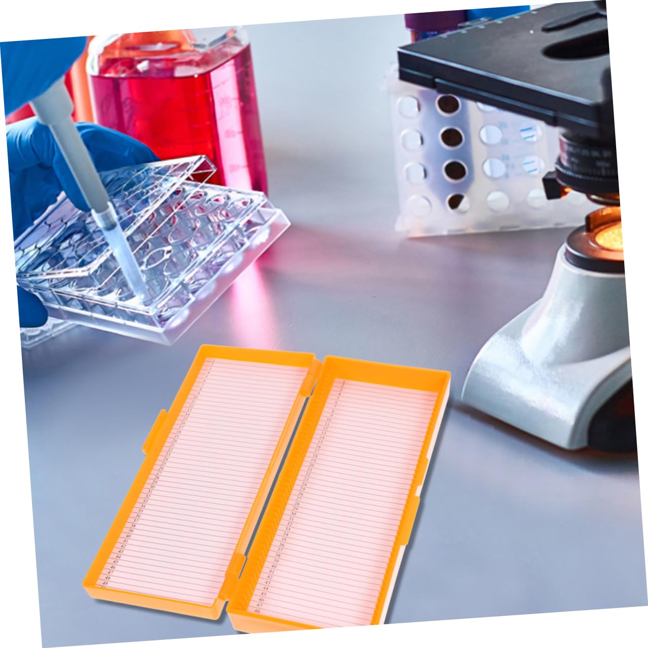 ULTECHNOVO Scatole Da 6 Pz Scatola Di Diapositive Conservazione Dei Vetrini Da Microscopio Vassoio Portaoggetti Per Vetrini Per Microscopio Custodia Per Diapositive Riutilizzabile Addominali