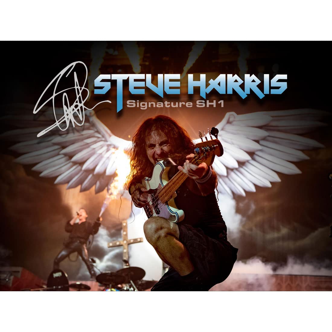 Tech-21 SH-1 Steve Harris Bass Sansamp Flyrig z kablem XLR