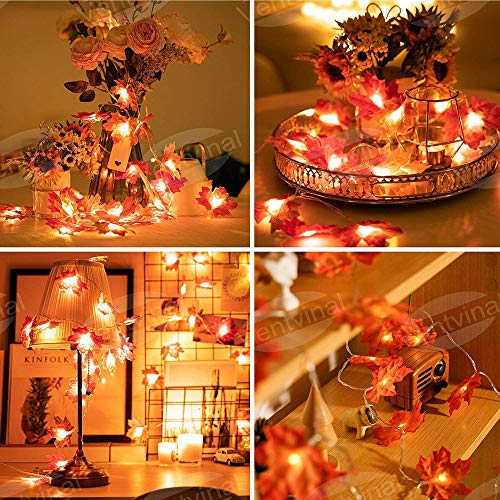 Ghirlanda luminosa con foglie d'acero, 20 LED