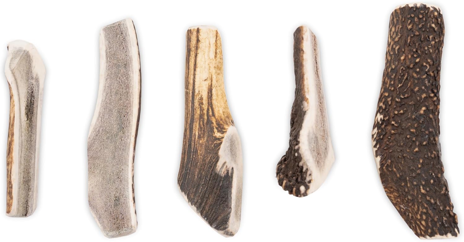 RF-Deer Hundesnack Rothirsch Geweih Kausnack - Hirschgeweih für Hunde, 100% Natürlicher, Kauspielzeug Hund, Hundespielzeug Kauknochen für Genuss und Zahnpflege (XXL 19-21 cm, Soft - 5 Stück)