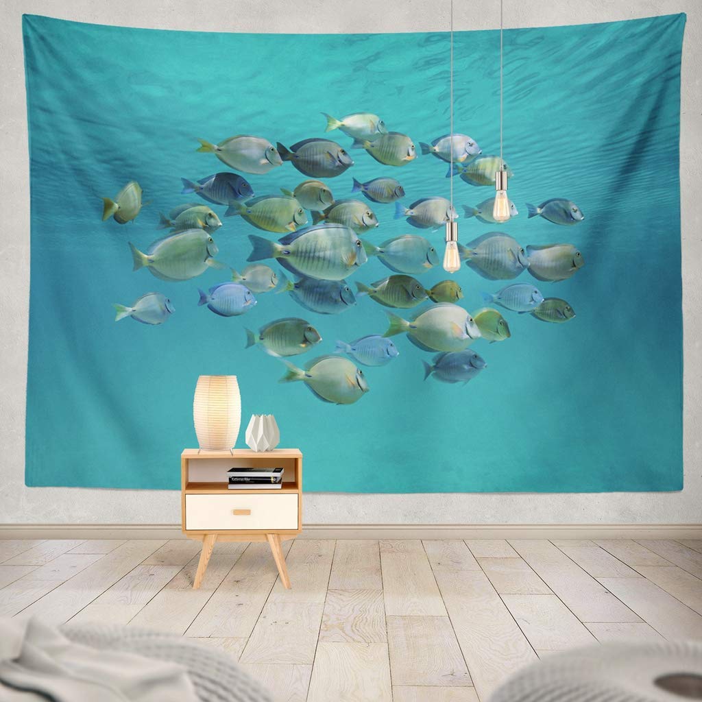 Amazon 熱帯魚と水面の海の魚の学校水中水海洋生物熱帯面の青い海アメリカ装飾タペストリー 寝室のリビングルームの壁掛けタペストリー 150x100cm シャワーカーテン ホーム キッチン オンライン通販 Amazon 熱帯魚と水面の海の魚の学校水中水海洋生物熱帯面の青い海アメリカ装飾タペストリー 寝室のリビングルームの壁掛けタペストリー 150x100cm シャワーカーテン ホーム キッチン オンライン通販