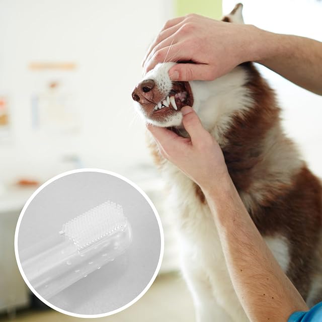 Foto 5 de 7 de 12 Piezas cepillo de dientes suave del animal doméstico del silicón