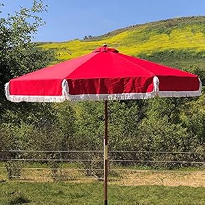 Formosa Covers 9ft 8 Ribs Replacement Umbrella Canopy wFringe Valance for Outdoor Decor Entertainment and Poolside CANOPY ONLY Red