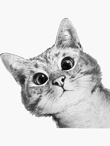 Grey Peaker Cat Vinilo Calcomanía para parachoques de automóvil, ventana, laptop, camión, camioneta, botella de agua, libros, etc. Resistente al