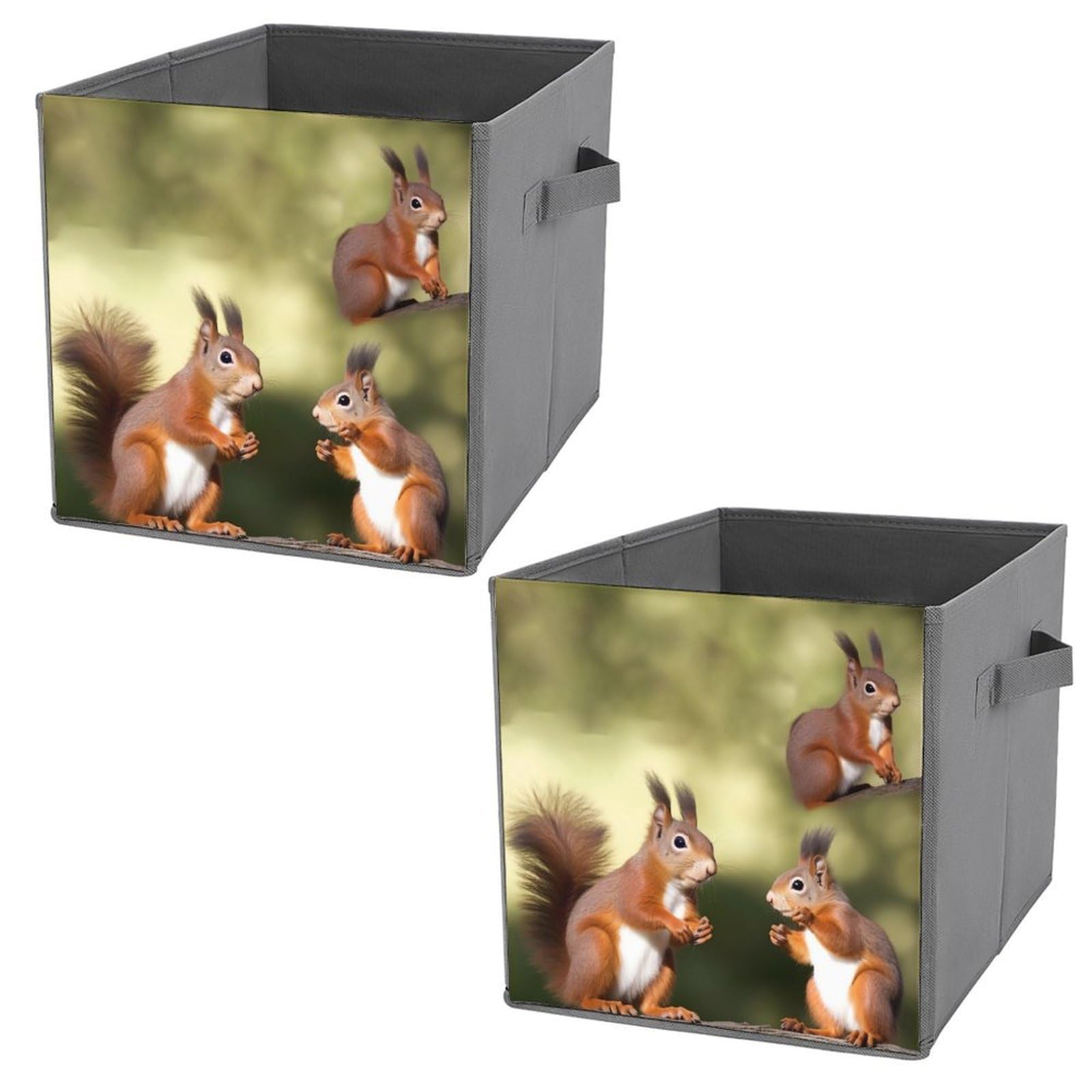 NONHAI Collapsible Storage Bins with Dual Handles Fabric Storage Basket Foldable Cubes Organizer Baskets Cute Squirrels Storage Boxes for Organizing Clothing Cube Storage Organizer Bins