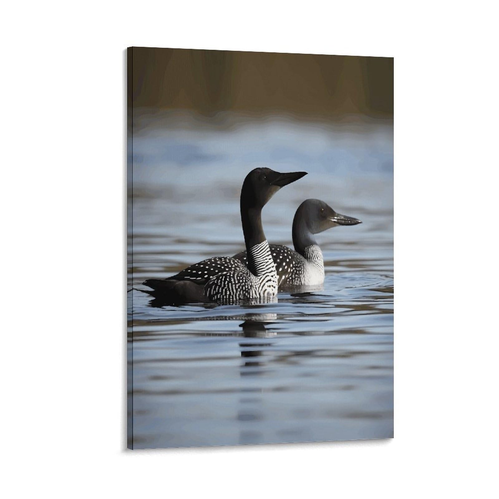 VstaDank Loon Birds Canvas Wall Art on Canvas Prints Artwork Exquisite Decor Artwork Hang Wall Picture Hangable Decor Painting Picture Printed Poster Art for Home Decor 20x30inch(50x75cm)