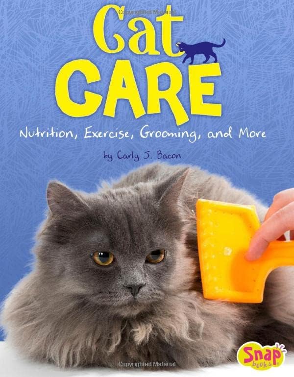 Why Do Dogs Need More Exercise Than Cats