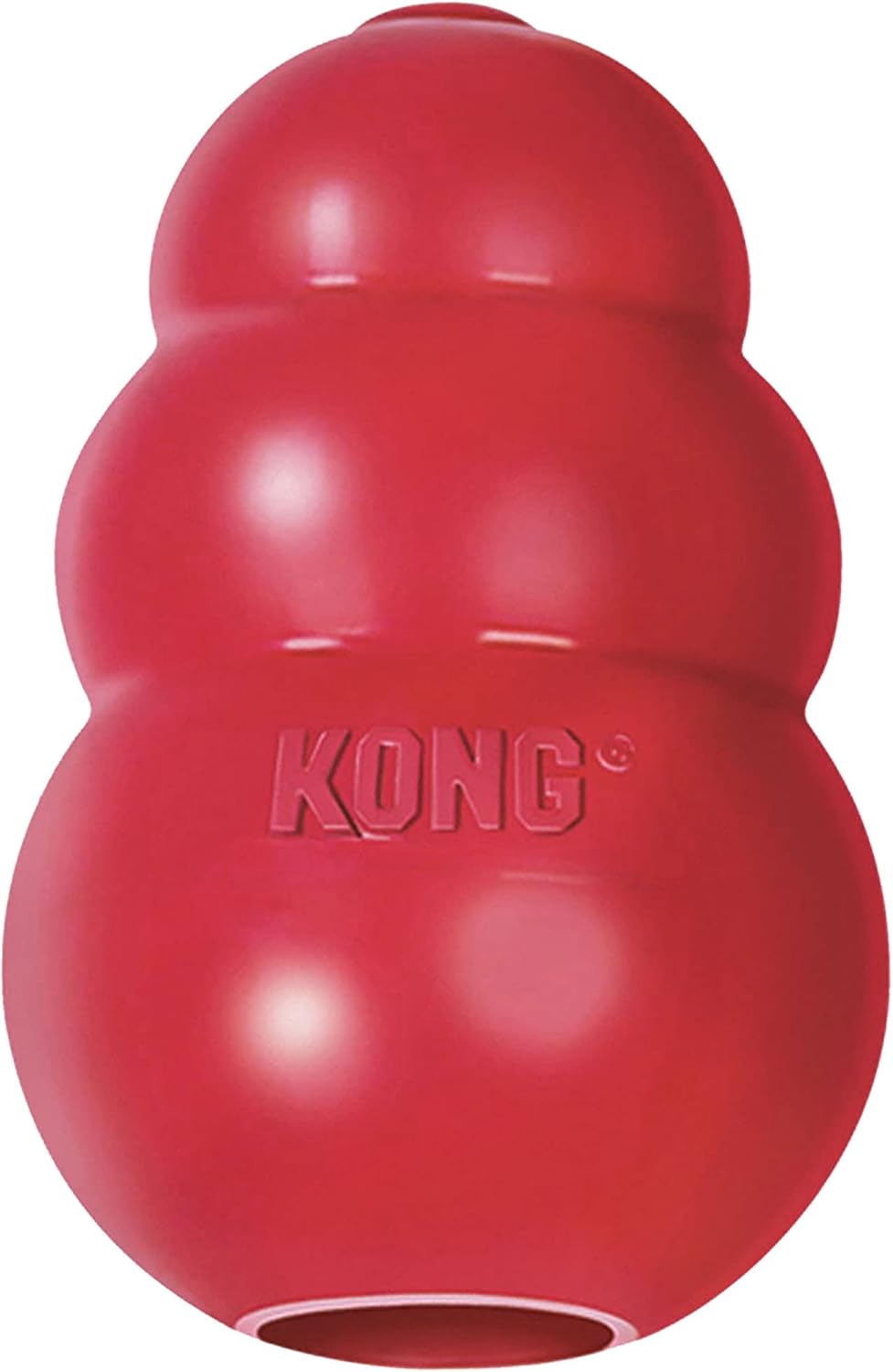 kong 2 pack large classic