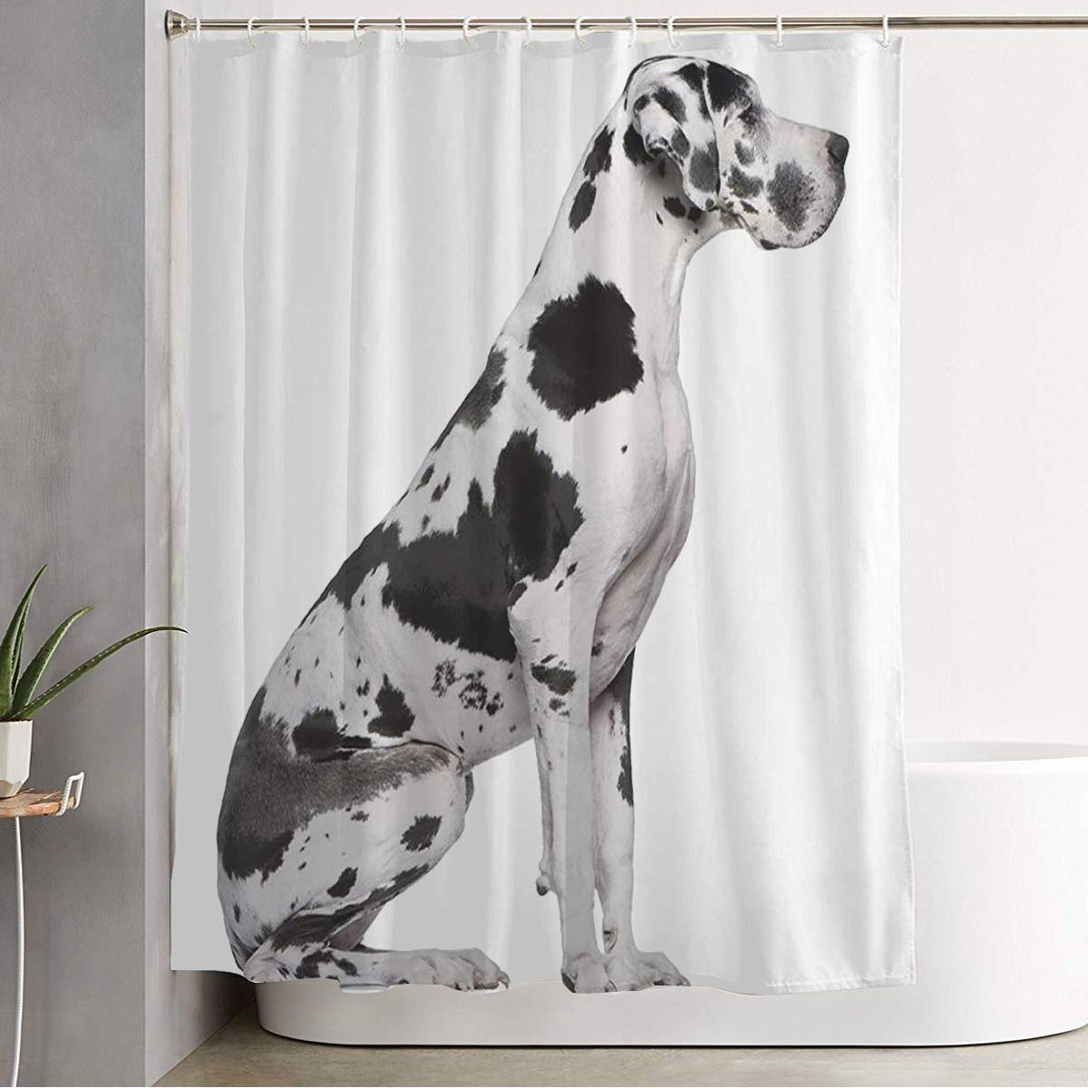 Bathroom Fabric Shower Curtain Black Great Dane Harlequin Sitting Front White Animals Wildlife Dog Studio Spots Looking Obedient Waterproof Polyester Curtain Home Decor with Hooks 72" x 78"