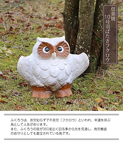 Amazon.co.jp: 信楽焼 羽ばたきふくろう(10号, 白)【fu-0003 