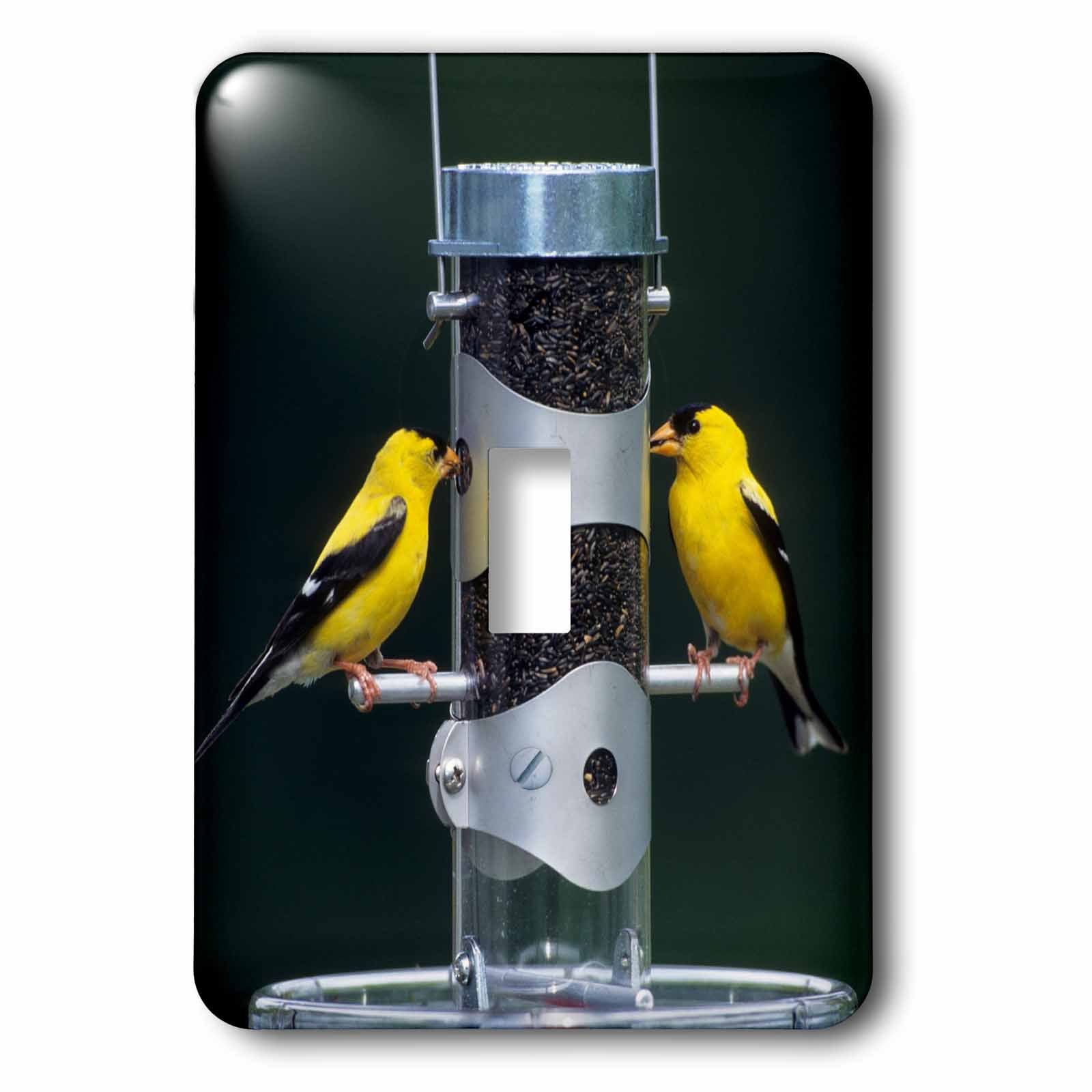 Feeder Goldfinches interrupteur 3dRose LSP_250916_1 décor oiseau