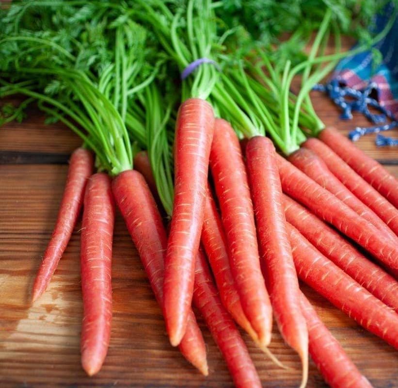 Agrey Red Carrot Vegetable Seeds (Red, Pack of 100 Seeds) (B0CZ3P7799) Amazon Price History, Amazon Price Tracker