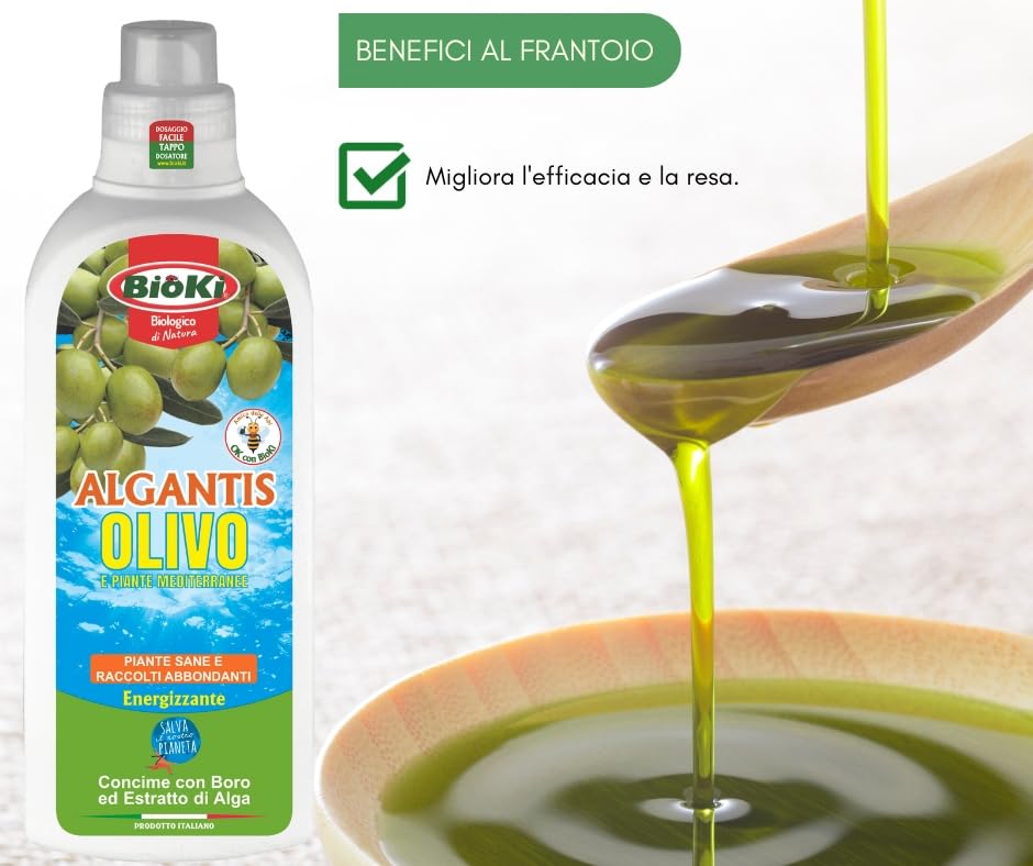Concime Per Olivo Algantis Con Boro E Alga Ascophyllum - 1kg | Per Fioritura E Allegagione, Bio
