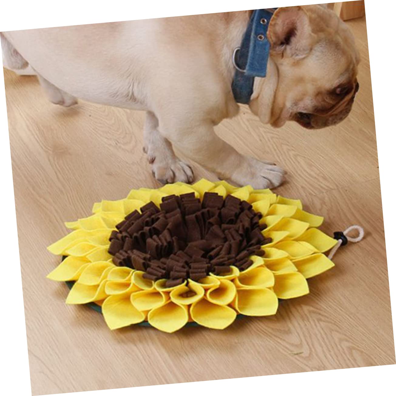 Sosoport 3piezas Alfombrilla para Perros De Forrajeo De Girasol Mat De Alimentación Lenta Diseño Creativo para Entrenamiento y Cenas De Mascotas Apta para Perros Pequeños Medianos y