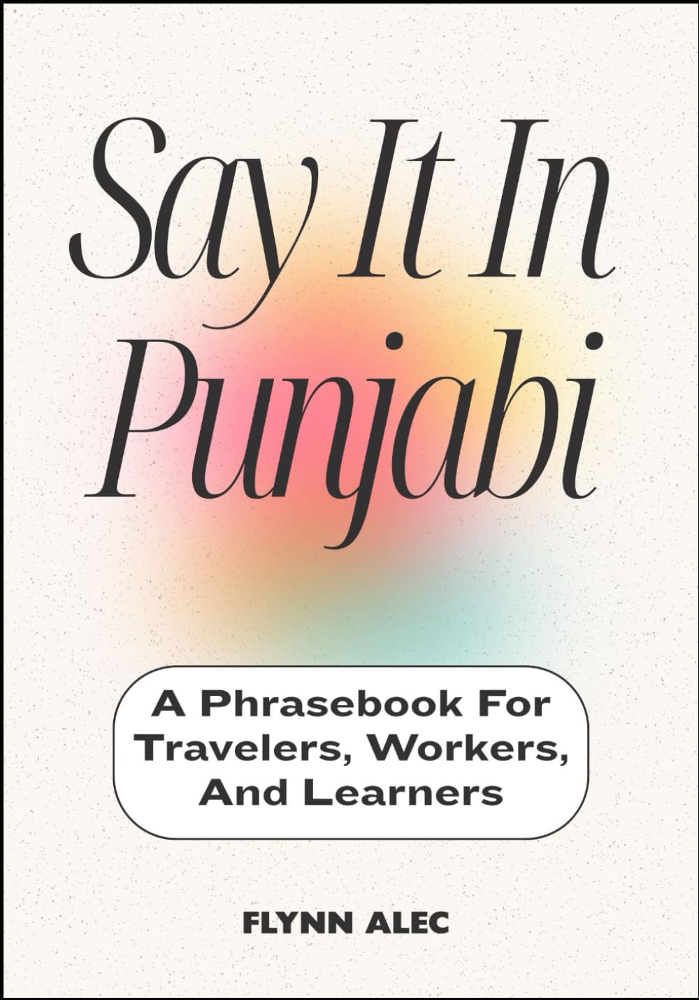 Say It In Punjabi: A Phrasebook For Travelers, Workers, And Learners